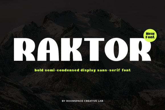 Bring Bold Charm to Your Creations with Raktor Font
